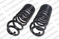 Rear Coil Spring Kit for Chevrolet (4414218)