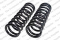 Heavy Duty Front Coil Spring Kit for Buick (4112106)