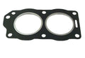 Head Gasket for Johnson Evinrude 9.9 10 14 15 HP 18-2963 330818