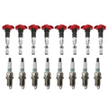 Set of 8 Ignition Coils & Denso Iridium Spark Plugs for Volkswagen Audi (4.2L)