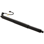 Liftgate Lift Supports for Audi Q5 (2018–2023)