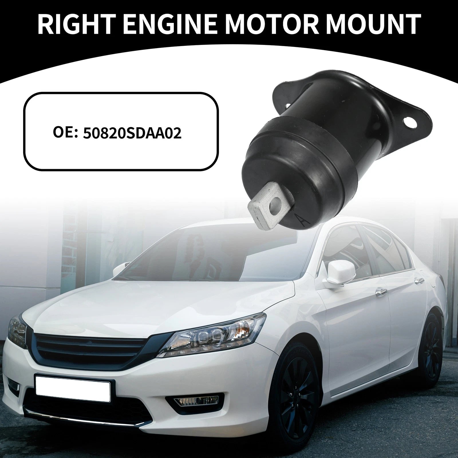 Right Engine Motor Mount for Honda Accord (2003–2012)
