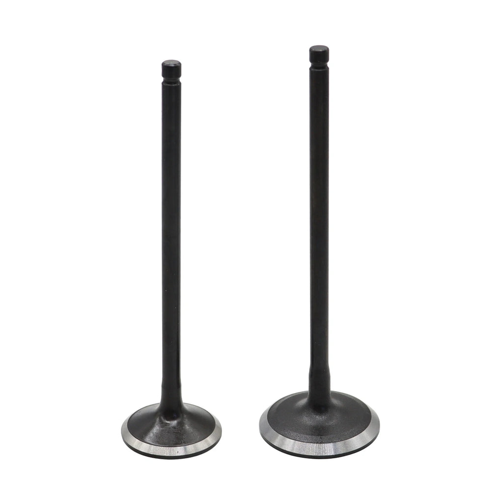 Intake & Exhaust Valves for Honda Odyssey/Pilot 3.5L (2007–2009)