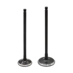 Intake & Exhaust Valves for Honda Odyssey/Pilot 3.5L (2007–2009)