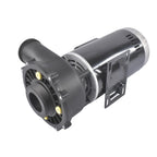4 HP Spa Pump for Executive 56 Frame (230V, Two-Speed)