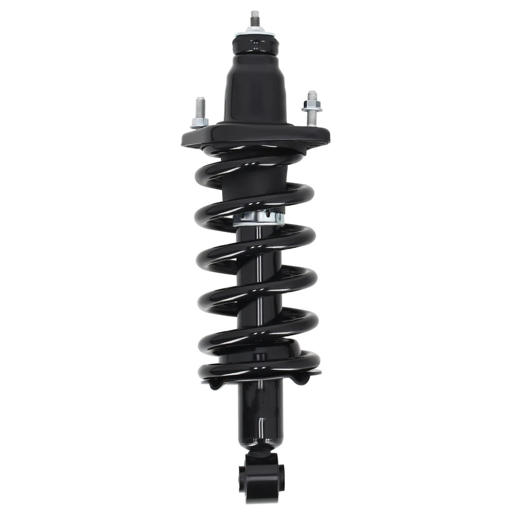 Pair Rear Struts with Coil Spring for Honda CR-V (2007-2011)