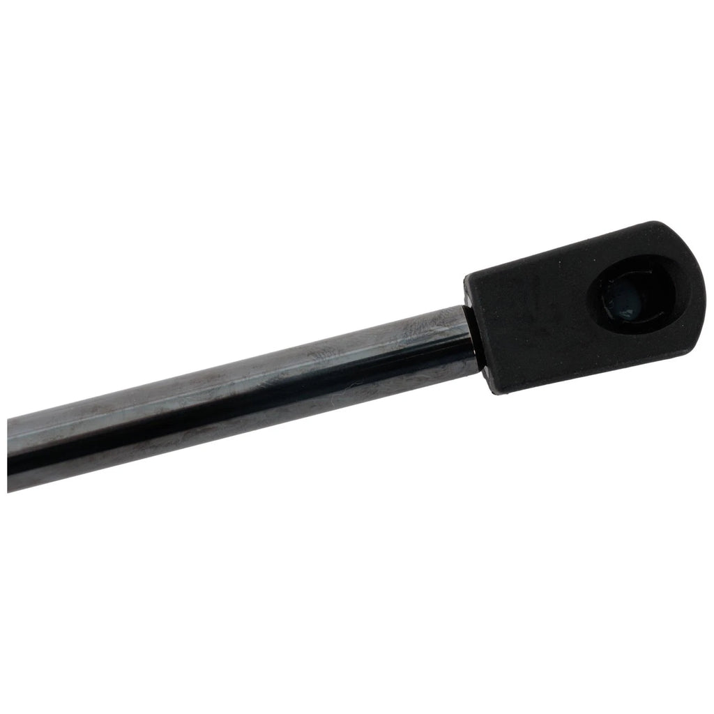 Hood Lift Supports for Ford Edge (2019–2024)