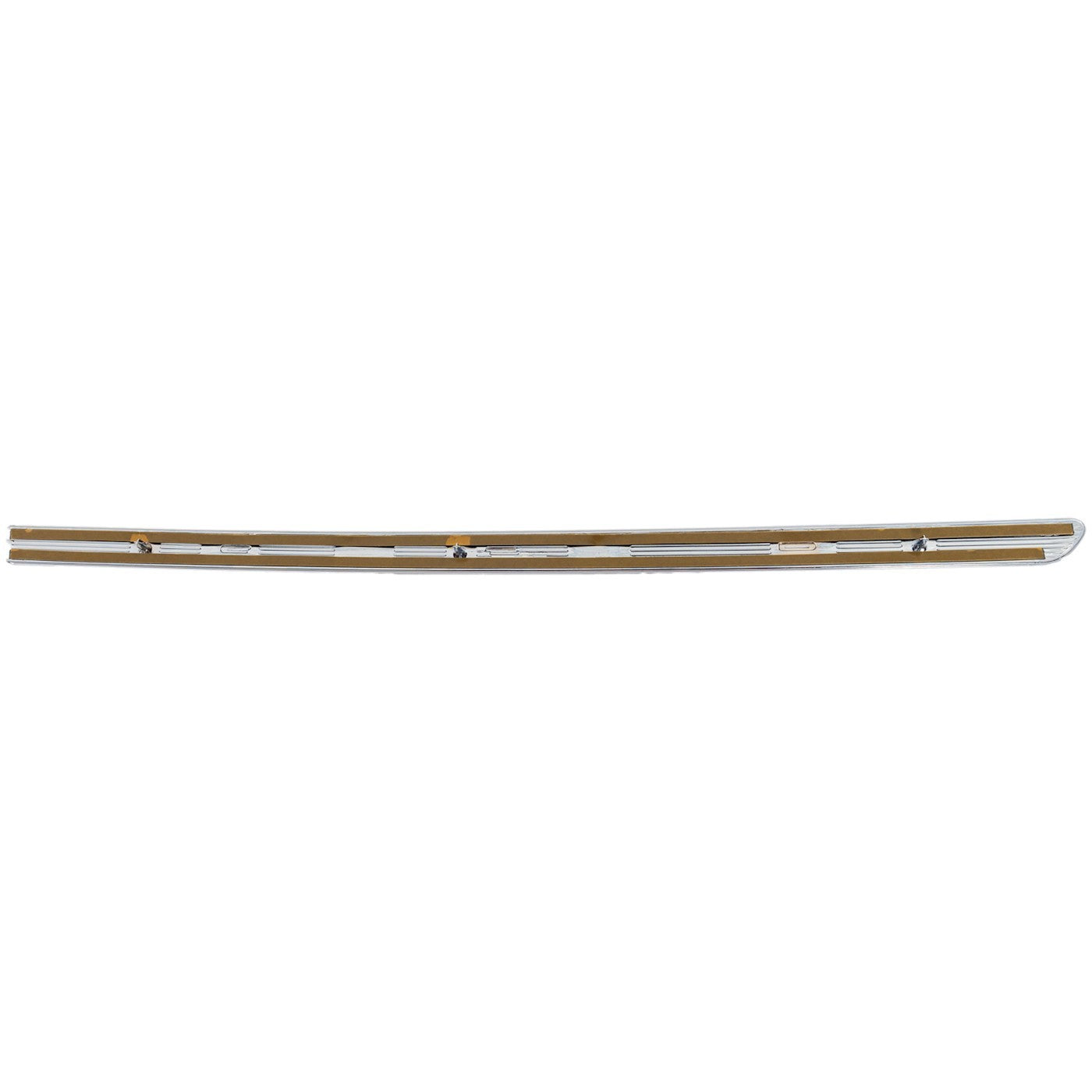 Rear Passenger Door Molding for Buick (Right Side)
