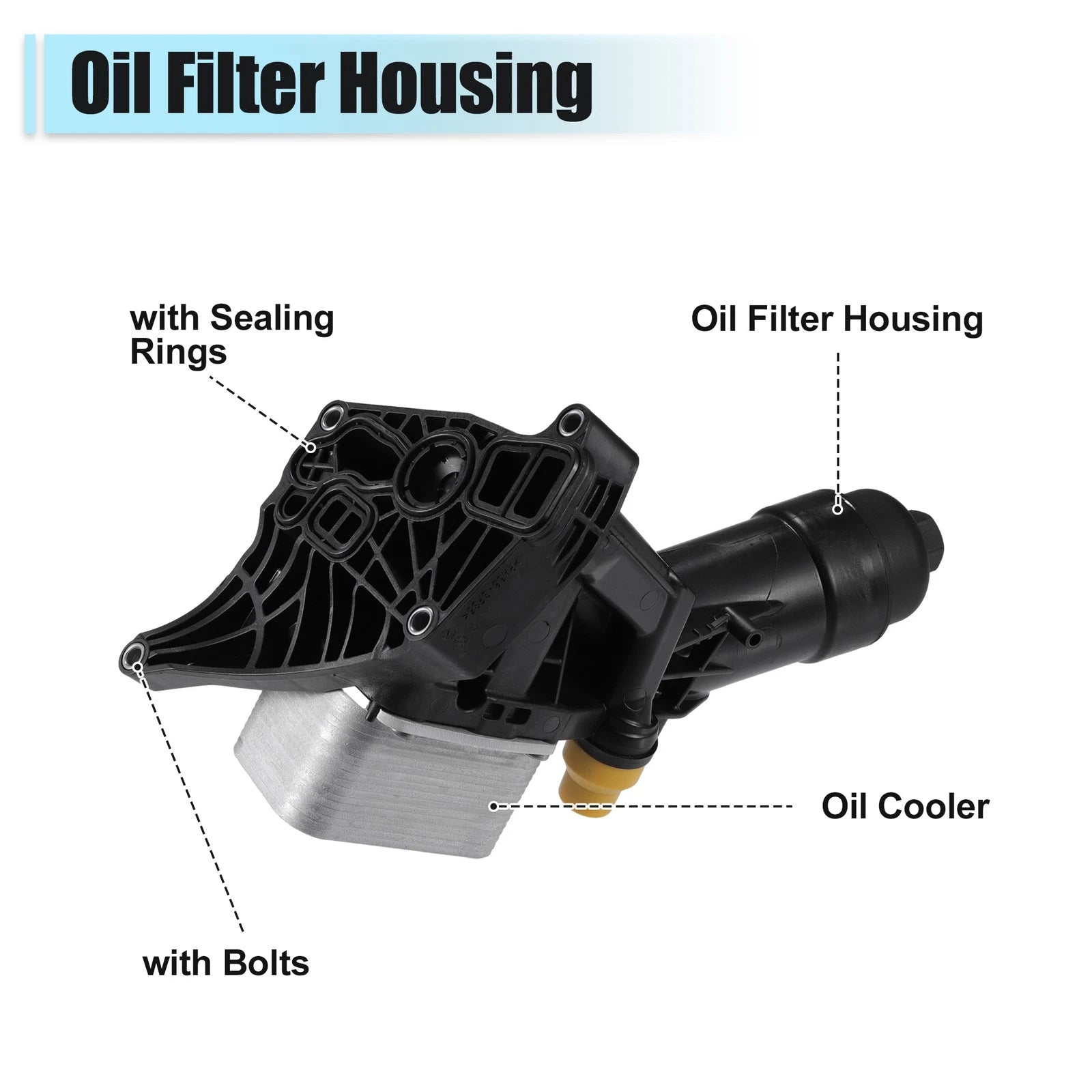 Set of 1 Engine Oil Cooler Oil Filter for BMW 230i F22 (2017–2022) No. 11428596283
