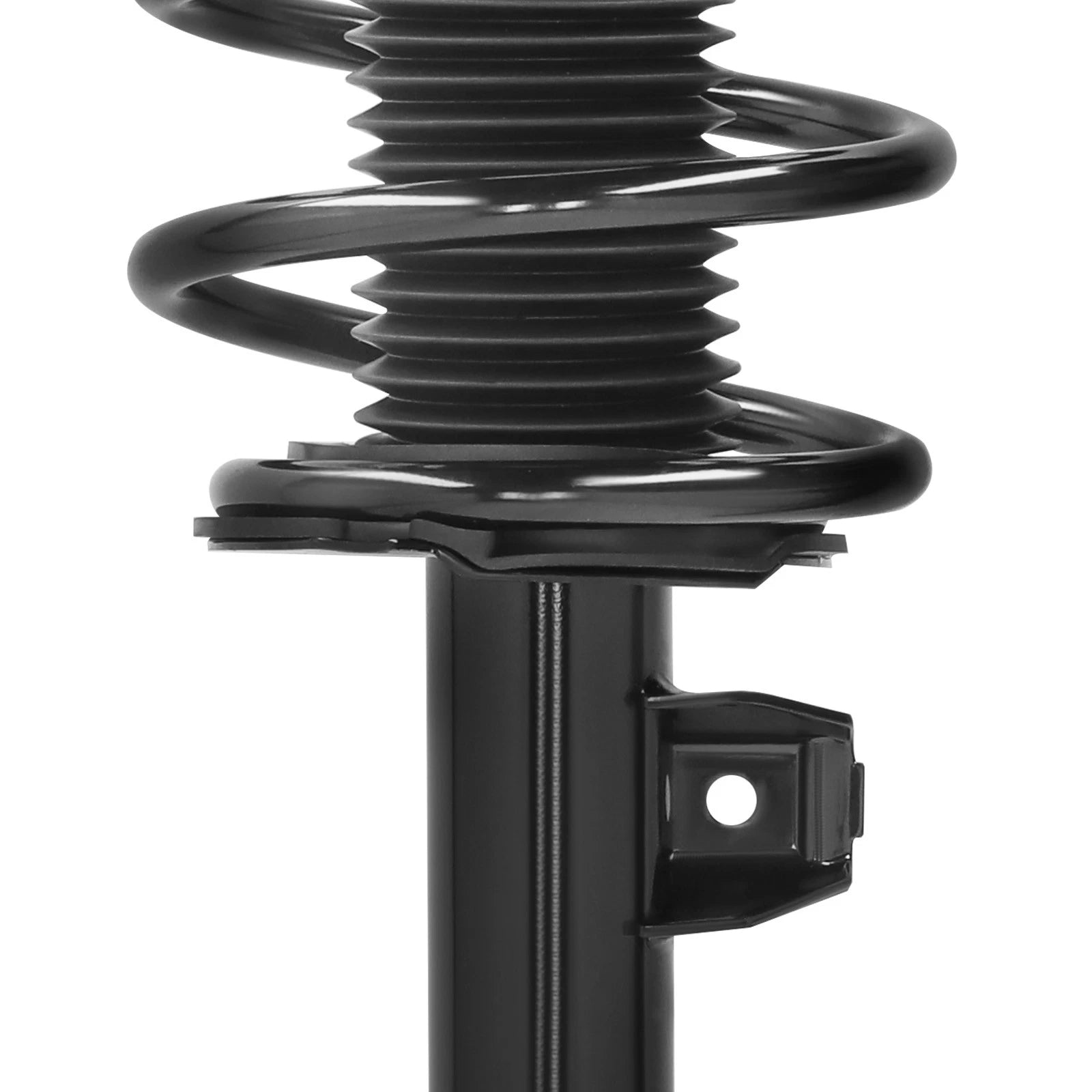 Front Strut Spring Assembly for BMW 325i 328i 330i 335i (2006–2013) 2335564R