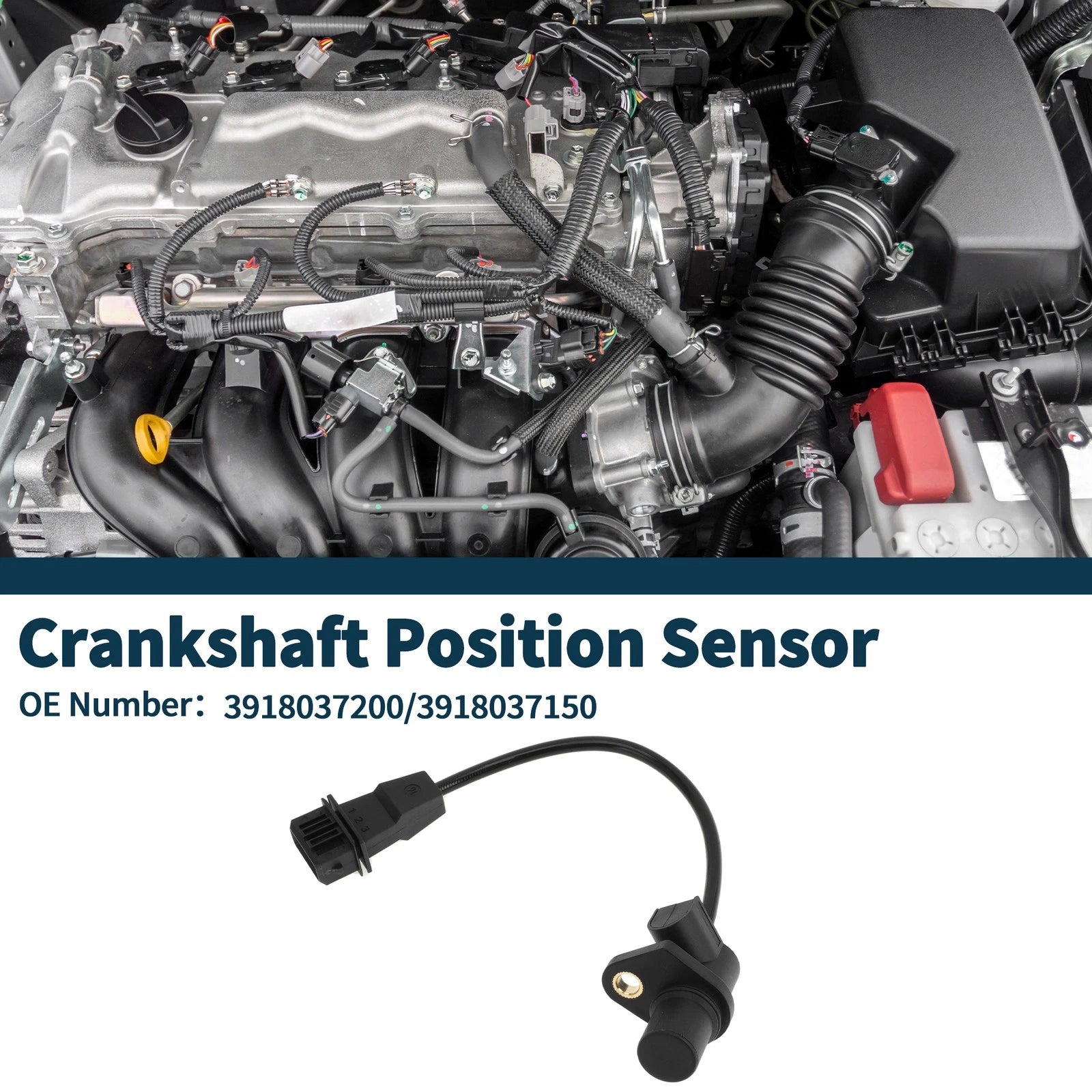 Crankshaft Position Sensor for Hyundai Santa Fe GLS (2001–2006) No. 3918037200