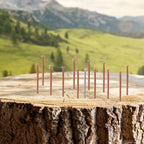 Copper Nails for Stump Removal Projects (Landscaping Tools)