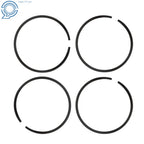 Piston and Ring Assembly Kit for VW Amarok Jetta Audi A4 Q5