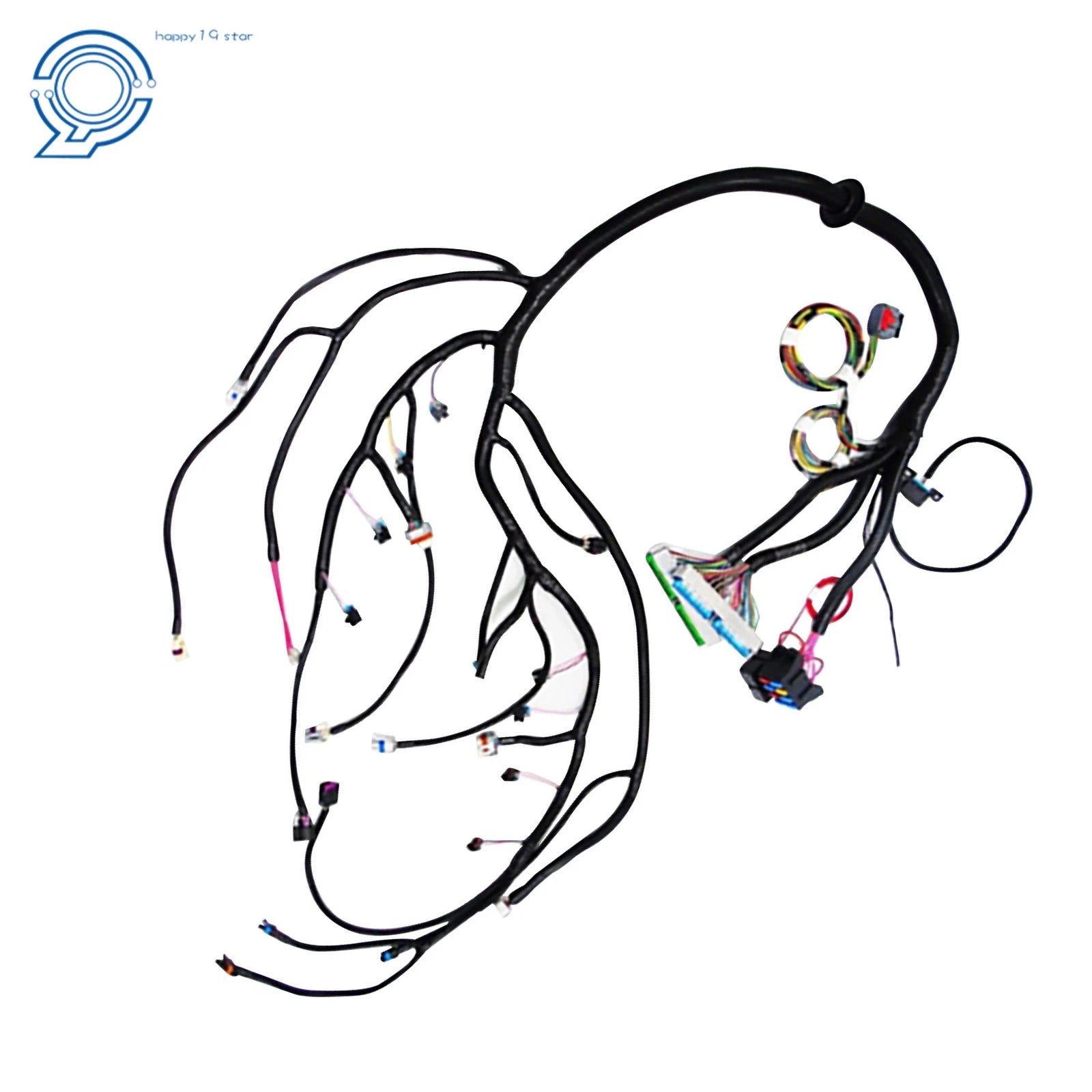 Stand Alone Wiring Harness for LS Truck (1999-2006) with T56 DBC