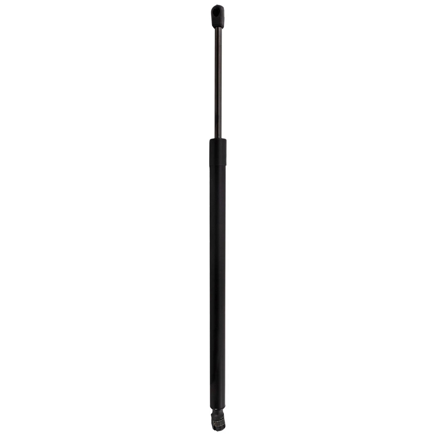 Tailgate Lift Support for Lexus NX250 (2022–2023)