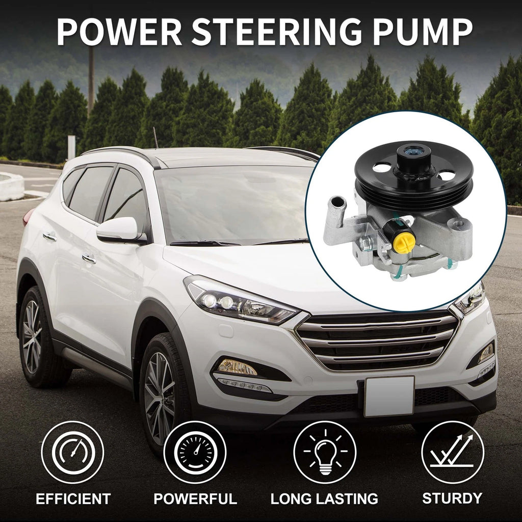 Power Steering Pump with Pulley for Hyundai Tucson (2005–2009) Kia 571002E000