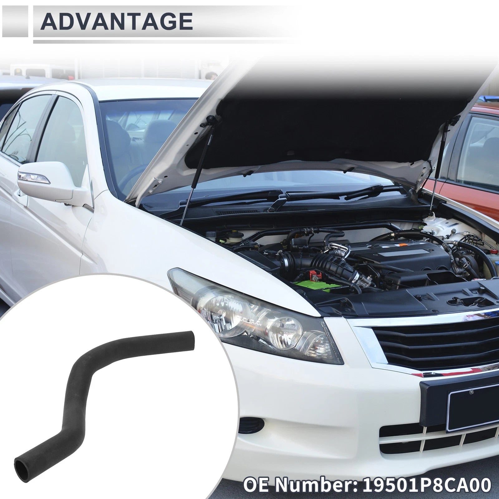 Radiator Coolant Hose for Honda Accord (1998–2002) & Acura TL No. 19501P8CA00
