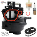 Carburetor Carb Assembly for Briggs & Stratton (84002107, 799584)
