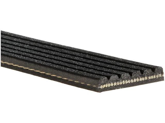 Multi Rib Belt for Mazda 6 (2009–2013) GM994PW