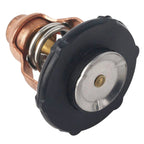 Thermostat with Seal for Yamaha 4 Stroke 75 90 HP (F90B VF90 F75B 6FP-12411-00-00)