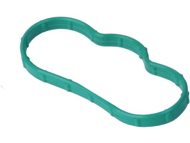 Lower Intake Manifold Gasket for Jaguar X Type (2002–2008) NM546QN