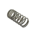 A-31744127-AI Valve Spring for