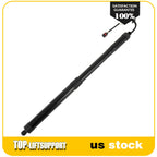 Lift Support Strut for Hyundai Santa Fe (2013–2016)