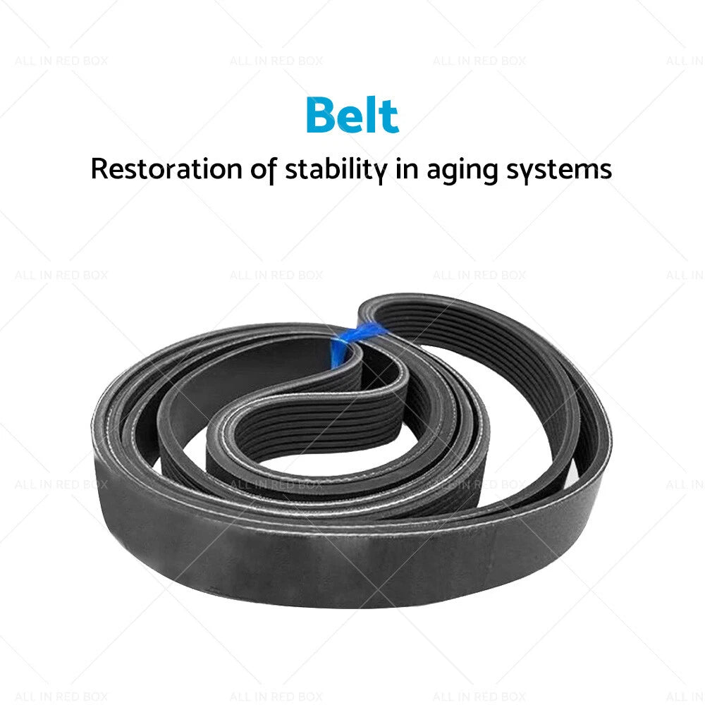 Ribbed Belt 7PK1750 for Honda Accord Euro 2.4 (CL9, CU)