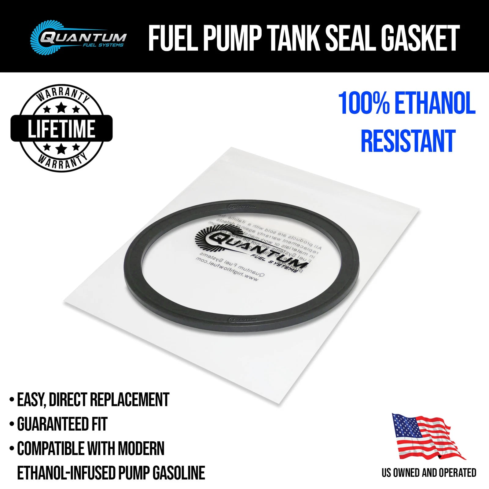 AEM 50-1225 245LPH E85 Fuel Pump Kit for Polaris RZR Turbo (2016–Present)
