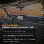 Pair A-Pillar Grab Handles for Ford F-250 (2011–2016)