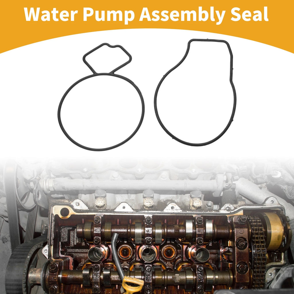 Water Pump Assembly Seal for Chevrolet Equinox (2010–2017)