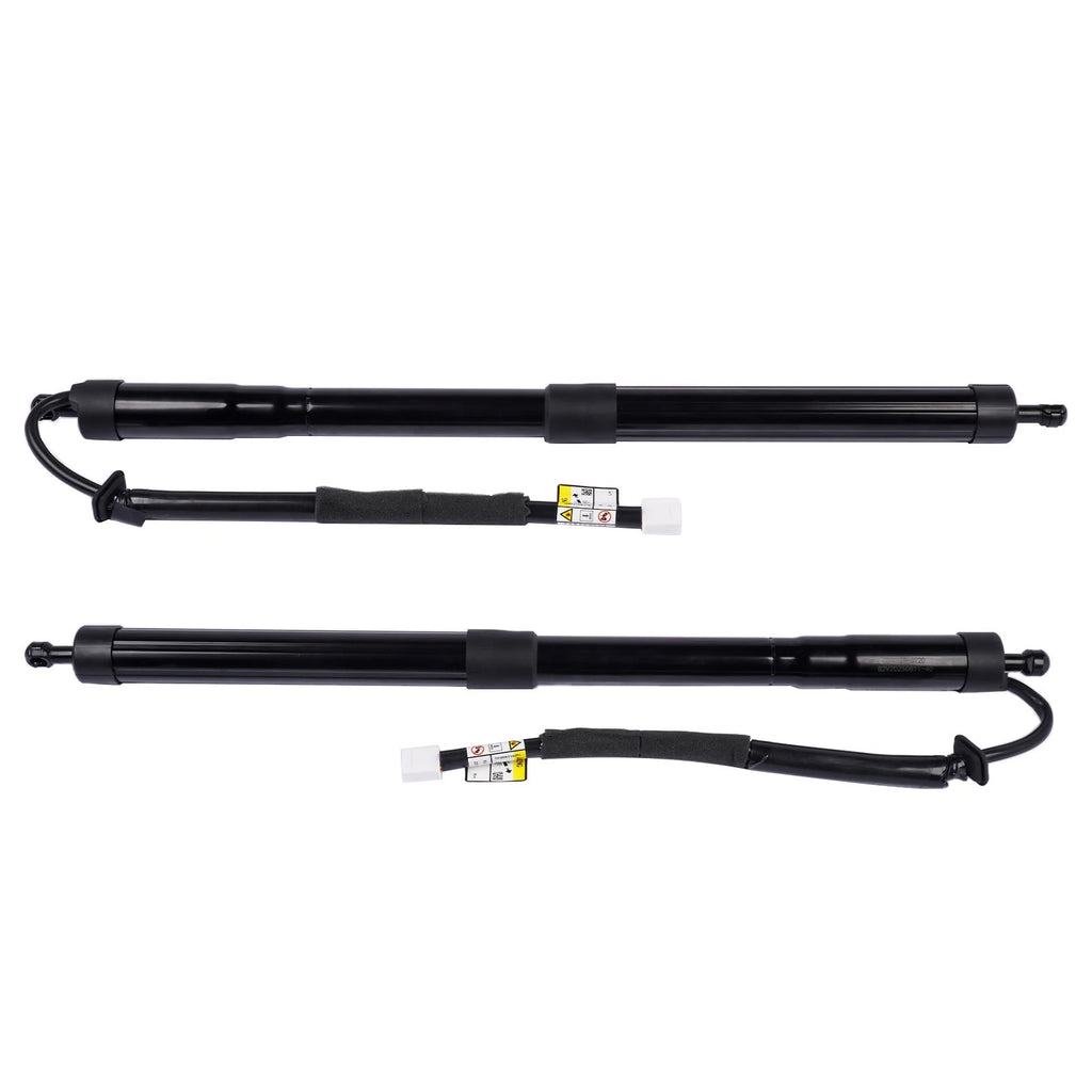Pair Rear Tailgate Lift Support Struts for Lexus RX350 RX350L RX450hL (2018–2023)
