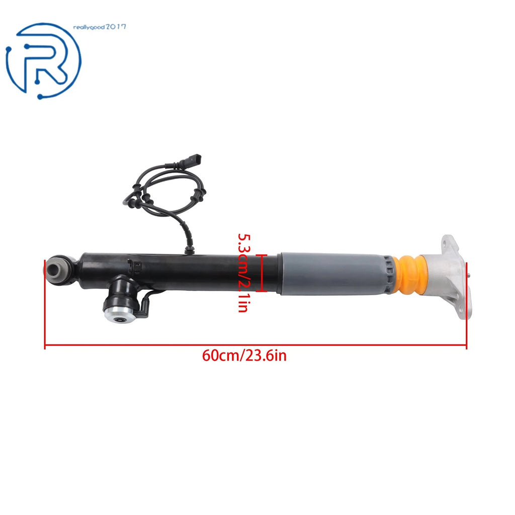 2 Pair Rear Shock Struts & Air Suspension Springs for Hyundai Equus (2011–2016)