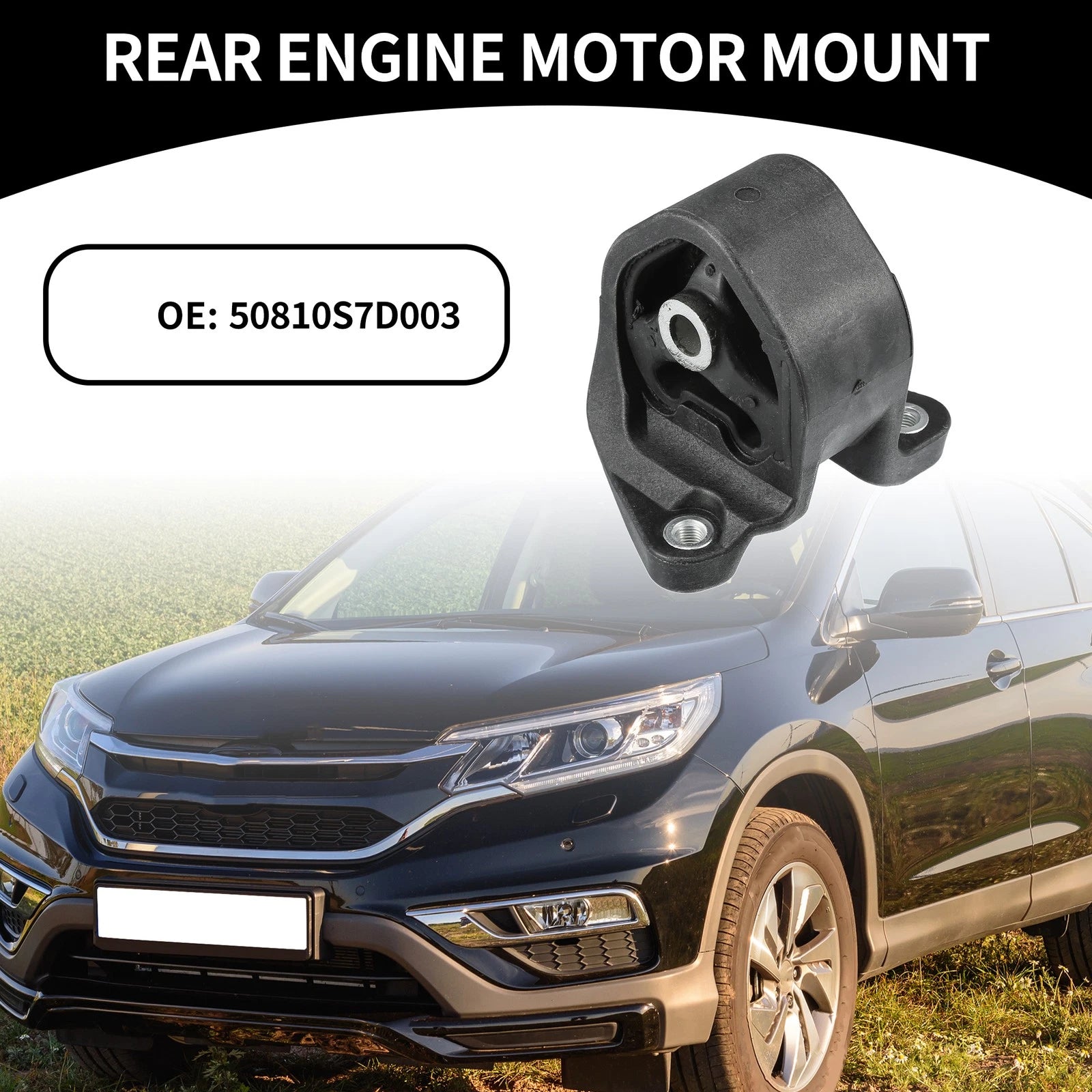Engine Motor Mount for Honda CR-V, Honda Element (2002–2006)