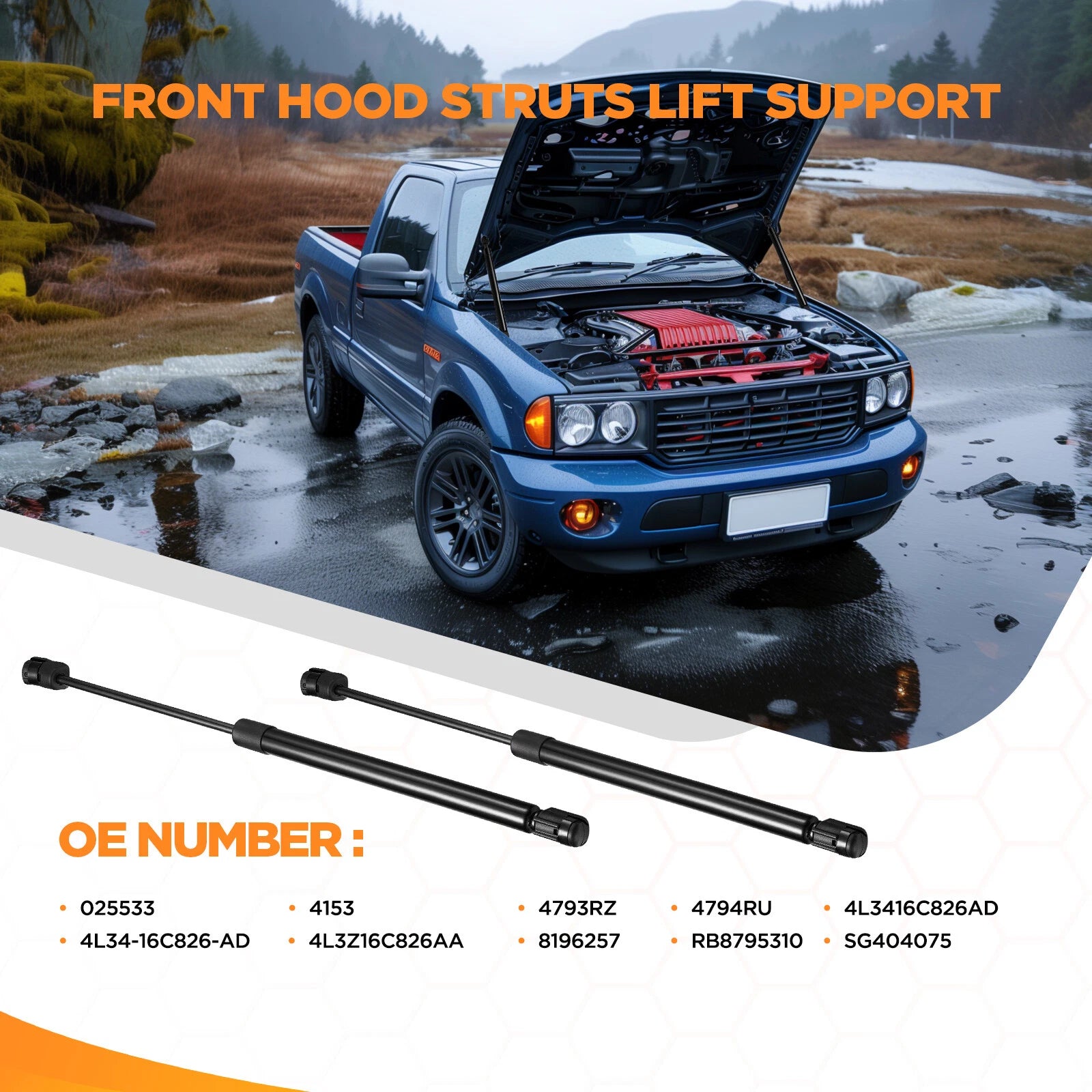 Black Hood Lift Support Struts for Ford F-150 (2004-2008)