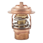 Thermostat for Sierra (Replaces Mercury 14586)