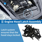 Hood Latch Assembly for Volkswagen Passat (2000–2005) No. 3BD823509A