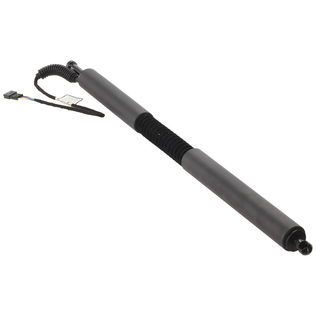 Liftgate Lift Supports for BMW 330i GT xDrive 340i 328i