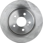 Rear Brake Disc for Mercedes-Benz C Class E Coupe (E400, E550, C350)