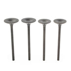 Intake & Exhaust Valve Kit for Honda Sportrax TRX400EX (1999-2008)