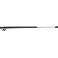 Lift Support Set for Honda Element (2003–2011) Trunk Lid 2-Pcs
