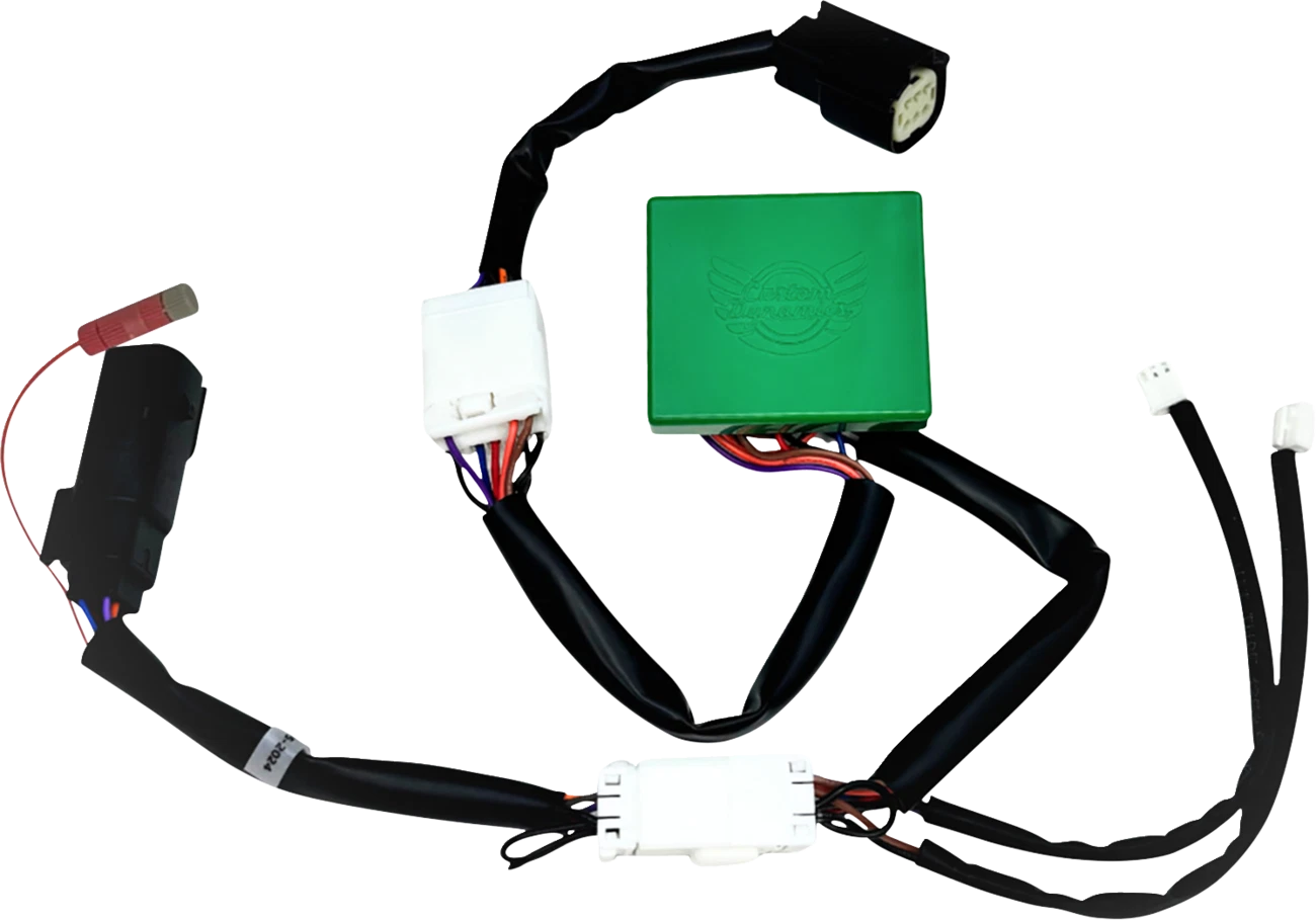 Smart Triple Play Module for Harley-Davidson Tour-Pak (2014–2022)