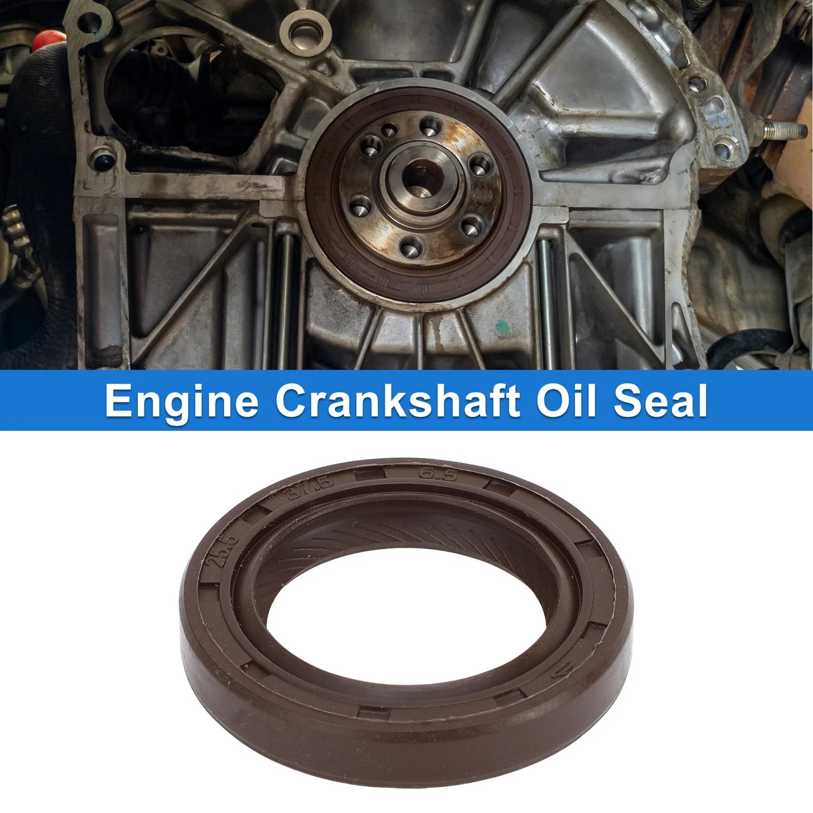 Front Crankshaft Oil Seal for Toyota Echo Prius (2000–2009) No. 90311-25021