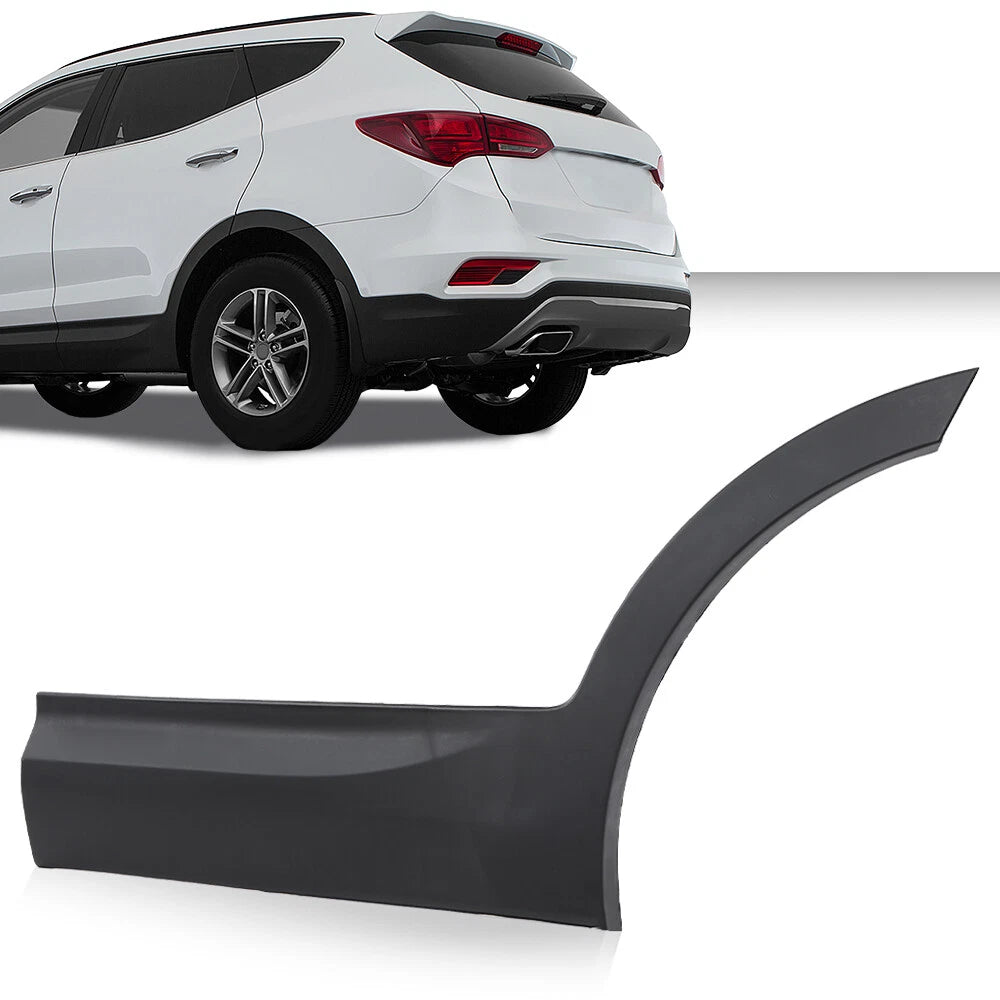 Rear Left Side Door Molding for Hyundai Santa Fe Sport (2013–2018)