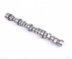 Camshaft for Chrysler Aspen Dodge Durango Ram 1500 5.7L V8 (2007–2009)