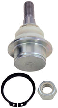 Front Lower Ball Joint for Dodge Dakota (2004–2010)