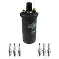 Set of 6 NGK Ignition Coils & Nickel Spark Plugs for 100 110 1210 MS1210 L6