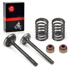 Intake/Exhaust Valve Replacement for Club Car DS Precedent FE290 (1992–2023)