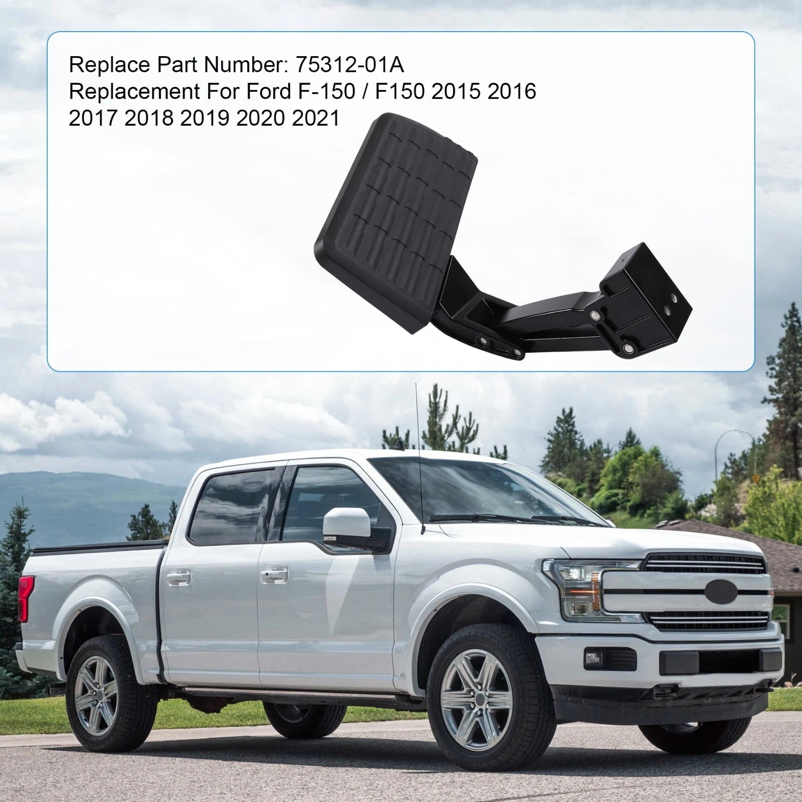 Bed Step for Ford F150 (2015-2018)