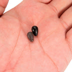 20/50pcs Shock Absorber Beads for Carp Fishing Feeder
